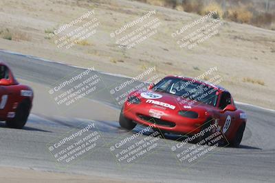 media/Nov-04-2023-CalClub SCCA (Sat) [[cb7353a443]]/Group 3/Cotton Corners (Race)/